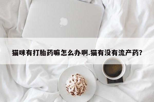 网上卖打胎药微信的联系方式猫咪有打胎药嘛怎么办啊.猫有没有流产药？